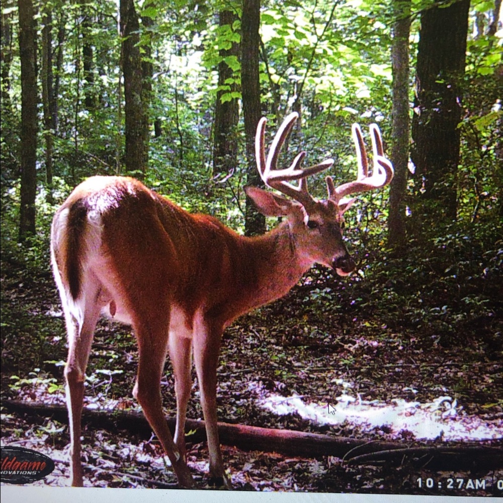 Meet your Posher, Dave